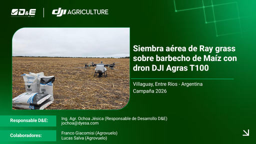 Siembra aérea Ray Grass sobre barbecho de maíz con T100